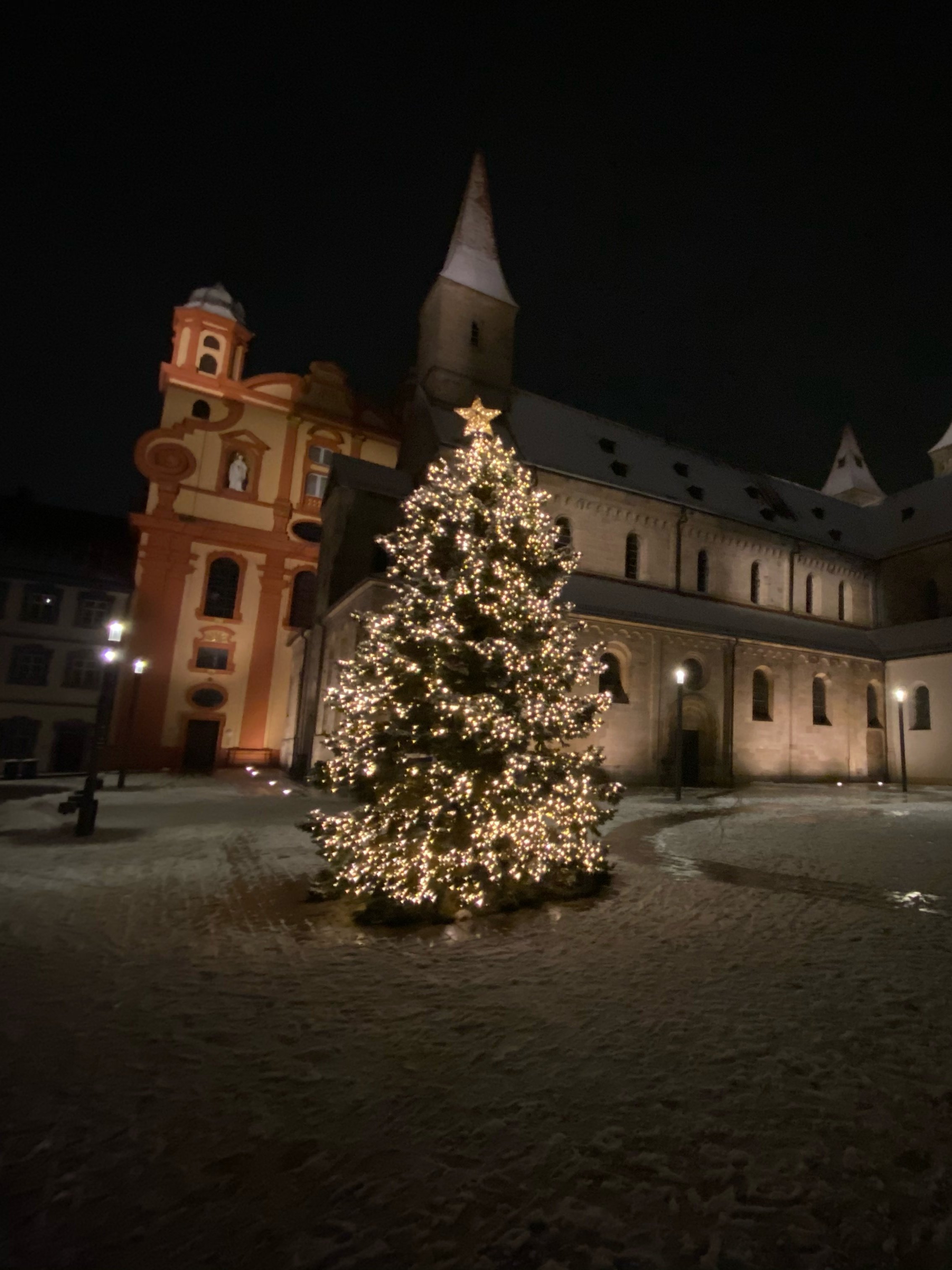 Weihnachtsbaum Marktplatz